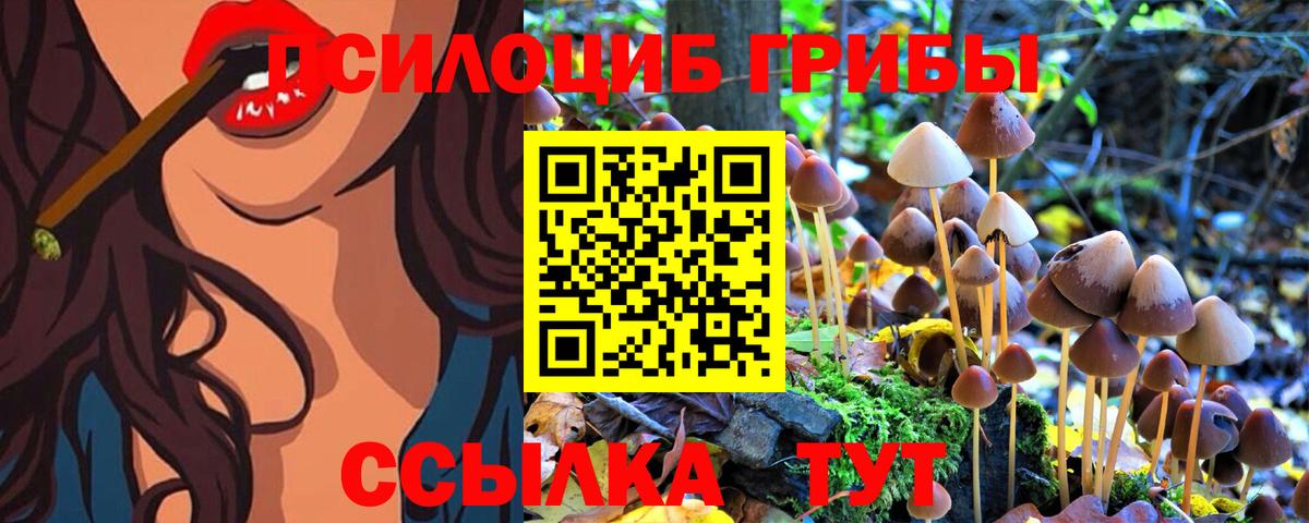 Псилоцибиновые грибы GOLDEN TEACHER Советск