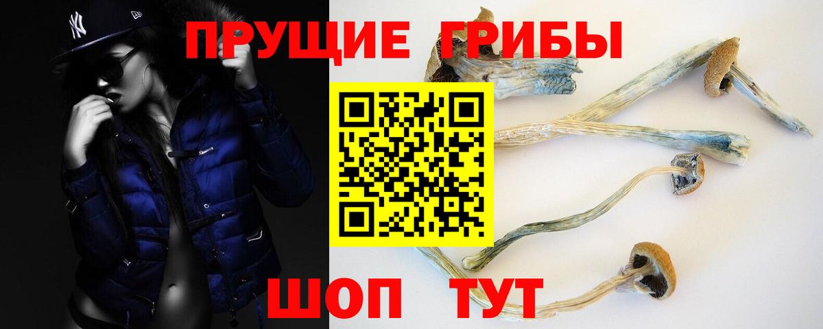 Галлюциногенные грибы мухоморы  Вход с VPN  Галлюциногенные грибы GOLDEN TEACHER  Советск 